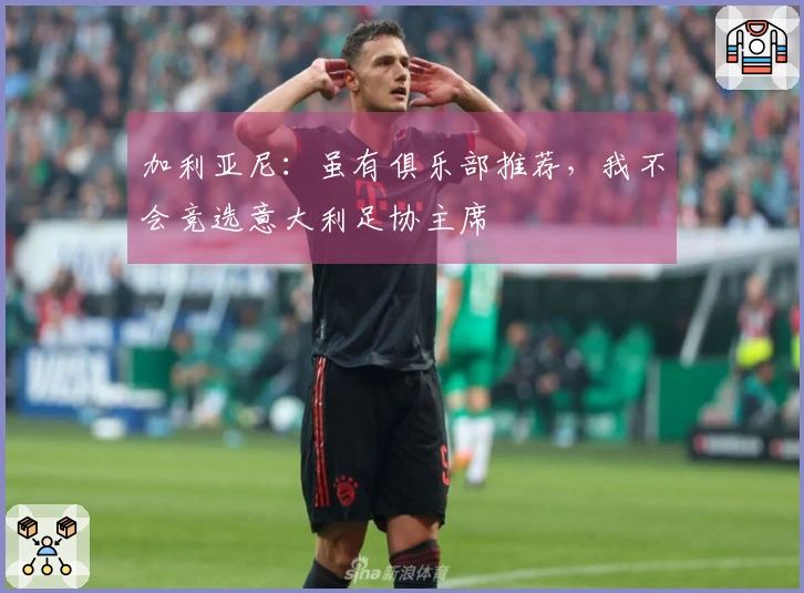 加利亚尼：虽有俱乐部推荐，我不会竞选意大利足协主席