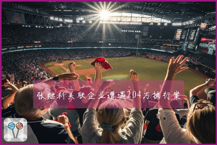 张继科关联企业遭遇204万执行案